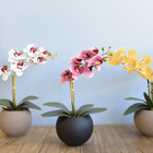 Arranjo Orquídea Rosa Artificial No Vaso De Vidro Preto | For